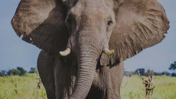 recruitment that makes a real impact (2)